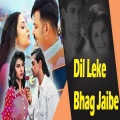 Dil Leke Bhag Jaibe