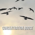 Concentration Boost