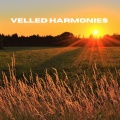Veiled Harmonies