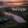 Serenidad y Armonía、Lluvia para un sueño profundo、Relaxing Music - Night Travel