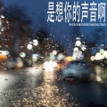 旺仔小桥 - 是想你的声音啊