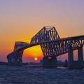 浪漫的夏天