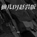 往往老赵 - 仙儿 (赵岩 remix)