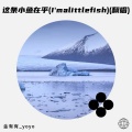 金有有_yoyo - 这条小鱼在乎 (I'm a little fish)