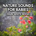 Nature Sounds For Babies (Rain White Noise)