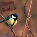 david palmer - Mystic Illusions