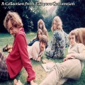 Fairport Convention - Sun Shade