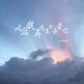 李优雅 - 以后我再也不会去爱你