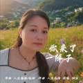湖泊 - 伤的总是我
