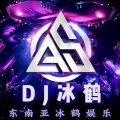 dj阿鹤、dj冰鹤、dj苏辰、DJ钰、白先森、DJ小郝 - 心要让你听见