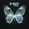 X-Ray