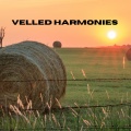 Zee Geluiden、Natuurgeluiden、Dromerige Natuurgeluiden - Veiled Harmonies