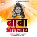 Sumit kumar - Baba Bholenath