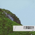 杜鹏 - 冬天过了你再走