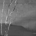 梁老师 - 不如不见面
