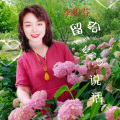 李相芬 - 留给最爱的说话