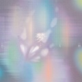 灯诱LampLure - 梦