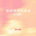 你说你有点难追 (DJ版)