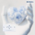 赵乃吉 - 青花