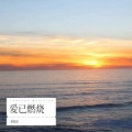 蒋海波 - 爱被辜负