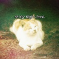 66 My Night Rest