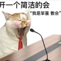 小雪好困 - 输情歌