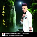 陈星华 - 乌来山下一朵花