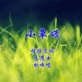 高鹰 - 小草颂
