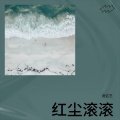 沈亿三 - 红尘滚滚