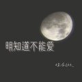 徐剑秋 - 明知道不能爱