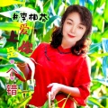李相芬 - 爱上你是一个错