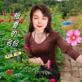 李相芬 - 想要的名分
