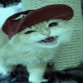 LILZIFFY、mvxko - Bang Bang (feat. mvxko)(Explicit)