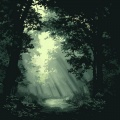 竣皓新级瑞、王霏霏、朱志鑫、张极 - Stalker窥探者