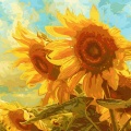 superhan - sunflower feelings