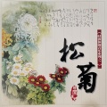 时尚休闲音乐系列之二 松菊
