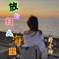 把你归回人海里DJ版