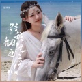 苏谭谭 - 待我翻过这座山