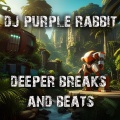 DJ Purple Rabbit - Lush