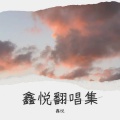 鑫悦 - 深夜的酒
