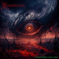 Harness - Chaoticism