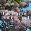 I Have Never Been to Hell