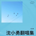 沈小勇 - 娥嫚