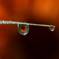 屋檐下的雨滴白噪音 沉浸式专注学习背景轻音乐