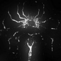 Barcode、Synapse - Not My Problem (Slowed)