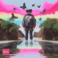 Vivid Fever Dreams、Toha - So Fly