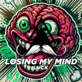 Losing My Mind (Radio-Edit)