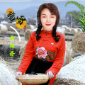李相芬 - 殇雪
