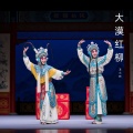 卫小莉 - 红柳