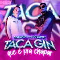 Taca Gin Que é Pra Chapar